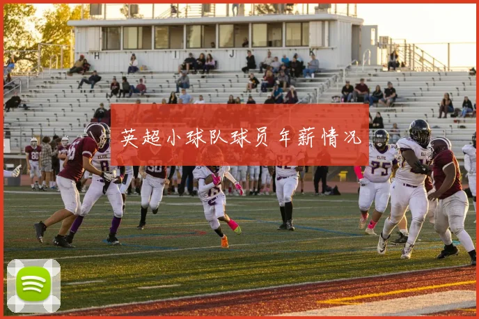 英超小球队球员年薪情况