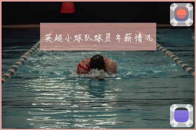 英超小球队球员年薪情况