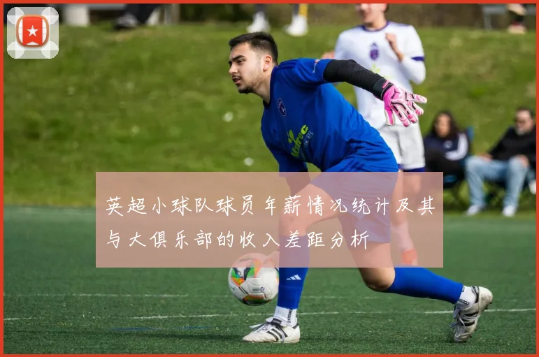 英超小球队球员年薪情况统计及其与大俱乐部的收入差距分析
